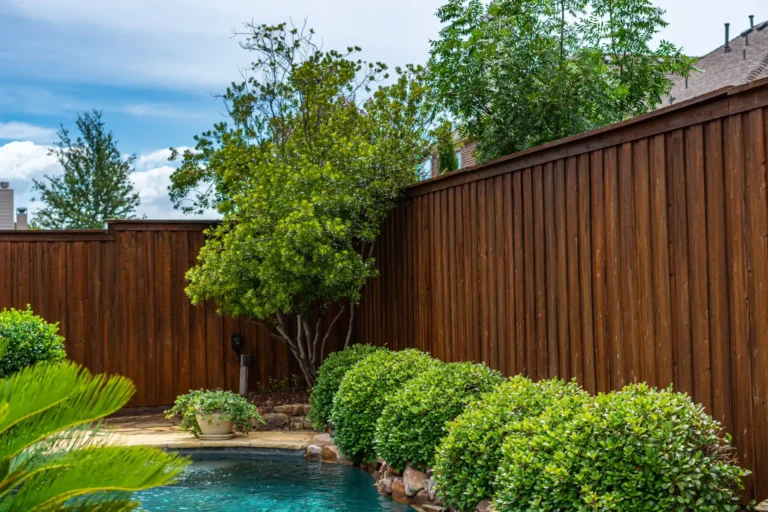 Fence Staining Services Frisco, TX
