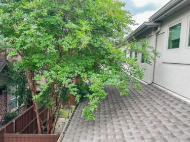 Fall Roof Maintenance Tips