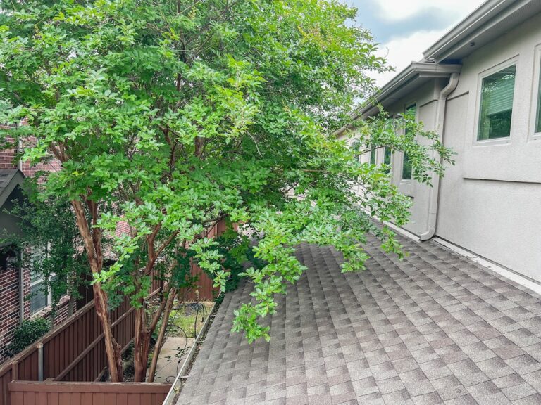 trim_the_trees