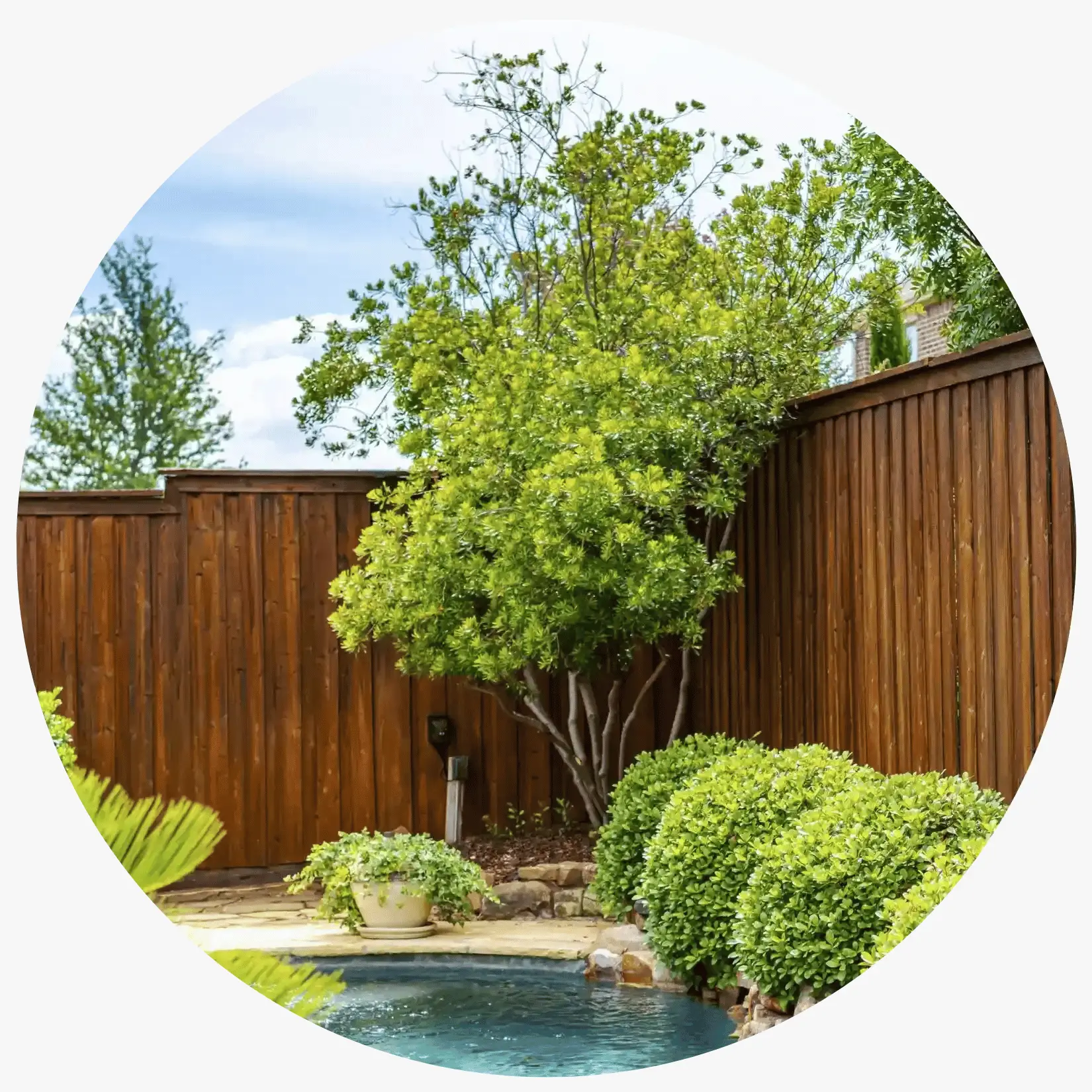 fence_services_frisco_tx-1_11zon fence_services_frisco_tx-1_11zon