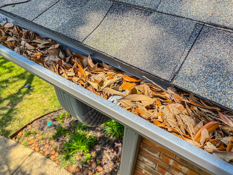 gutter cleaning services