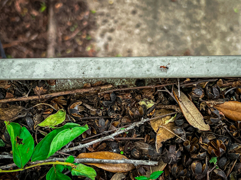 gutter cleaning services